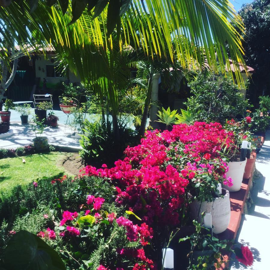 Casa De La Abuela Bed & Breakfast Ajijic Ngoại thất bức ảnh